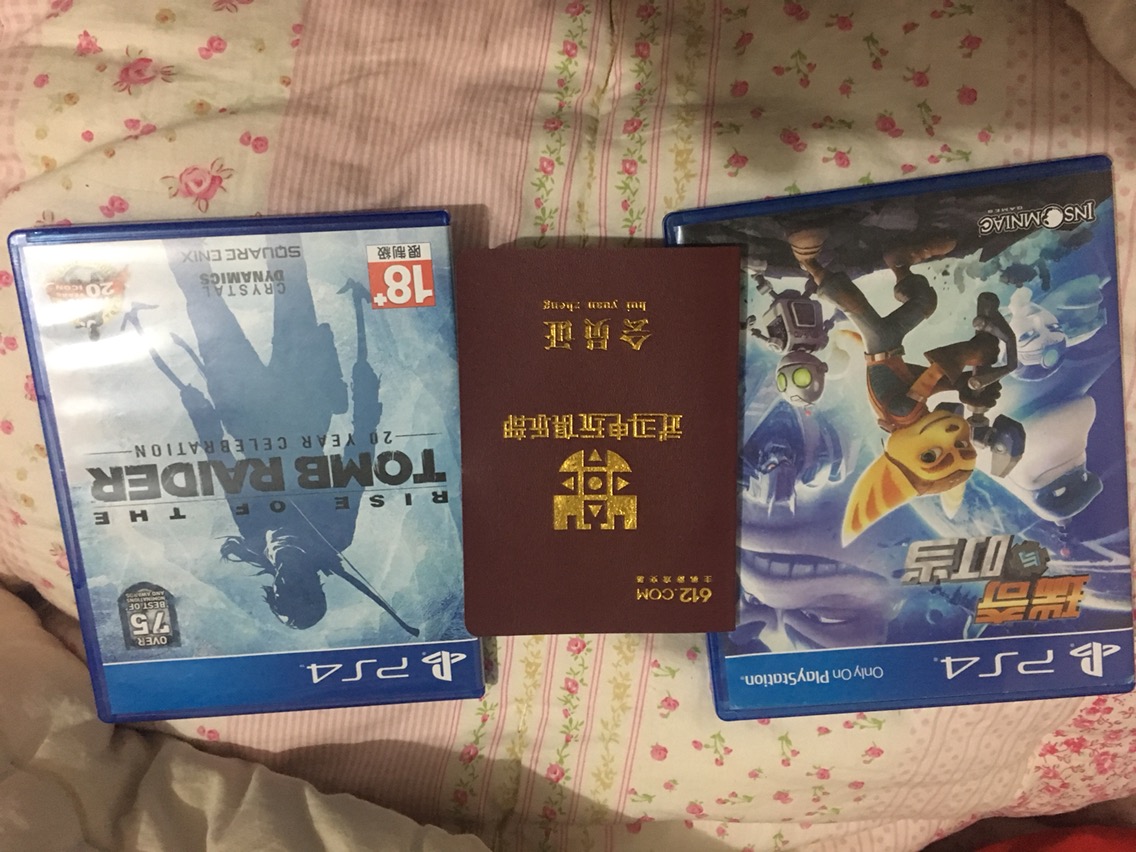 古墓崛起加瑞奇与叮当