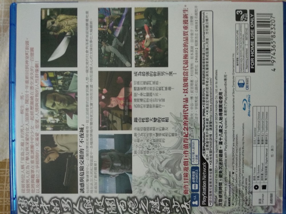 如龙 极 中文版